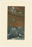 Artist: b'GRIFFITH, Pamela' | Title: b'Spoonbills' | Date: 1984 | Technique: b'hardground-etching and aquatint, printed in colour, from two zinc plates' | Copyright: b'\xc2\xa9 Pamela Griffith'