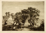 Artist: LINDSAY, Lionel | Title: Swing bridge and Basket Willow, South Australia | Date: 1921 | Technique: drypoint, printed in brown ink with plate-tone, from one plate | Copyright: Courtesy of the National Library of Australia