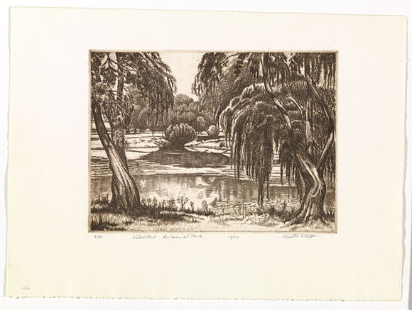 Artist: b'PLATT, Austin' | Title: b'Willow pond, Centennial Park' | Date: 1984 | Technique: b'etching, printed in black ink, from one plate'