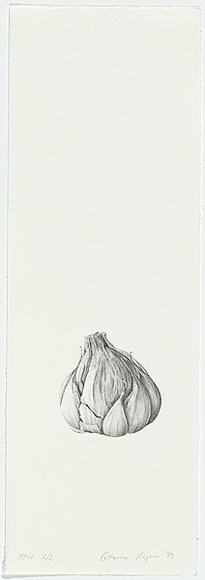 Artist: b'Pilgrim, Catherine.' | Title: b'not titled [garlic]' | Date: 1998, November | Technique: b'lithograph, printed in black ink, from one stone'