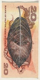 Artist: HALL, Fiona | Title: Ficus prasinicarpa (Papua New Guinea currency) | Date: 2000 - 2002 | Technique: gouache | Copyright: © Fiona Hall