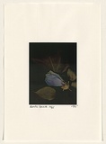 Title: b'Rococo Recollections [9]' | Date: 1995 | Technique: b'electrostatic print, printed from a Canon colour laser copier, from collaged elements'