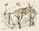 Artist: b'MACQUEEN, Mary' | Title: b'Cockatoos, Mt Noorat' | Date: 1964 | Technique: b'lithograph, printed in colour, from multiple plates, in black and green ink' | Copyright: b'Courtesy Paulette Calhoun, for the estate of Mary Macqueen'