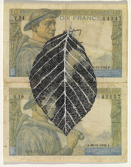 Artist: b'HALL, Fiona' | Title: b'Fagus sylvatica - Common beech (French currency)' | Date: 2000 - 2002 | Technique: b'gouache' | Copyright: b'\xc2\xa9 Fiona Hall'