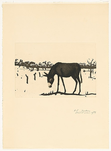 Artist: b'ROSE, David' | Title: b'Donkey' | Date: 1978 | Technique: b'aquatint and drypoint, printed in black ink, from one plate'