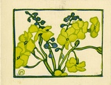 Artist: b'OGILVIE, Helen' | Title: b'Native pea.' | Date: 1935 | Technique: b'linocut, printed in colour, from mutliple blocks'