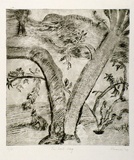 Artist: SHEARER, Mitzi | Title: The lost dog | Date: 1978 | Technique: etching, printed in black ink with plate-tone, from one plate