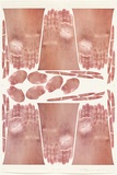 Title: Glove layout | Date: 2005 | Technique: photo-lithograph, printed in colour, from one plate