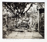 Artist: Glover, Allan. | Title: The Spreading Bay fig tree | Date: 1931 | Technique: etching and aquatint, printed in brown ink, from one plate