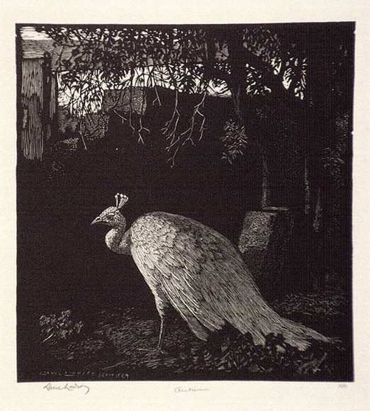 Artist: b'LINDSAY, Lionel' | Title: b'Autumn' | Date: 1924 | Technique: b'wood-engraving, printed in black ink, from one block' | Copyright: b'Courtesy of the National Library of Australia'