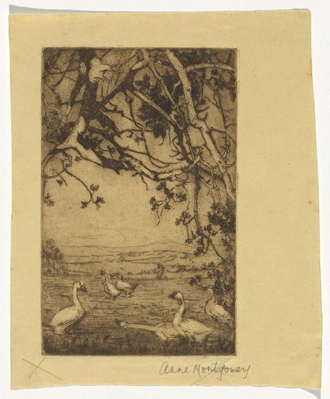 Artist: b'Montgomery, Anne.' | Title: b'(Geese)' | Date: (1930s) | Technique: b'etching, aquatint printed in brown ink with plate-tone, from one plate'