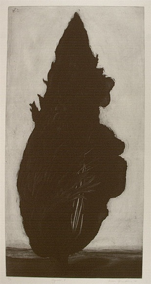 Artist: b'Johnstone, Ruth.' | Title: b'Cypress I' | Date: 1985 | Technique: b'etching, printed in black ink, from one plate'