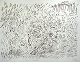 Artist: PLUNKETT, Jennifer | Title: Ducks in a rice field | Date: 1981 | Technique: lithograph, printed in black ink, from one stone