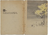 Artist: Rede, Geraldine. | Title: Wattle. | Date: 1909 | Technique: woodcut, printed in colour in the Japanese manner, from two blocks; with letter-press
