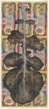Artist: b'HALL, Fiona' | Title: b'Brassica campestris - Turnip (Afghani currency)' | Date: 2000 - 2002 | Technique: b'gouache' | Copyright: b'\xc2\xa9 Fiona Hall'