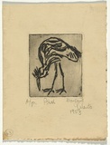 Artist: b'Cilento, Margaret.' | Title: b'Bird.' | Date: 1953 | Technique: b'etching, printed in black ink with plate-tone, from one  plate'