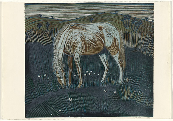 Artist: b'BOT, G.W.' | Title: b'Appaloosa.' | Date: 1989 | Technique: b'linocut, printed in colour, from multiple blocks'