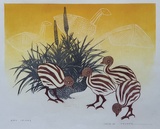 Artist: Thorpe, Lesbia. | Title: Emu chicks. | Technique: linocut, printed in colour inks, from multiple blocks