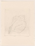 Title: Shell | Date: 1983 | Technique: drypoint, printed in black ink, from one perspex plate