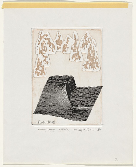 Title: b'Hidden layer - Kakadu' | Date: 1996 | Technique: b'etching and embossing, printed in black and brown ink, from two plates'