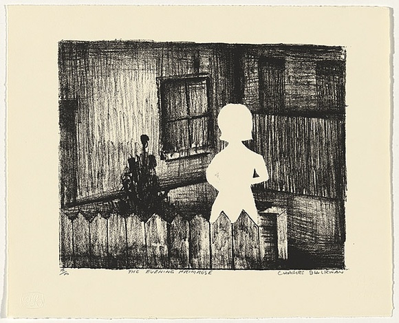 Artist: b'Blackman, Charles.' | Title: b'Evening primrose.' | Date: 1984 | Technique: b'screenprint, printed in black ink, from one stencil'