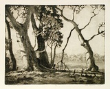 Artist: Ragless, Max. | Title: The fallen branch | Date: 1934 | Technique: aquatint and drypoint, printed in brown ink with plate-tone, from one plate | Copyright: © Max Ragless