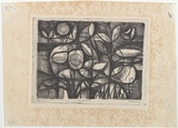 Artist: b'Coburn, John.' | Title: b'Garden.' | Date: c.1960 | Technique: b'lithograph,  printed in black ink, from one zinc plate'