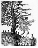 Artist: b'SHEARER, Mitzi' | Title: b'The wind in the trees' | Date: 1980 | Technique: b'lithograph, printed in black ink, from one plate'