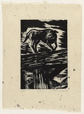 Artist: AMOR, Rick | Title: Dog. | Date: 1989 | Technique: woodcut, printed in black ink, from one block