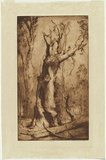 Artist: van RAALTE, Henri | Title: The shell. | Date: 1920 | Technique: drypoint, printed in brown ink with plate-tone, from one plate