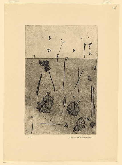 Artist: b'WILLIAMS, Fred' | Title: b'Gum trees in landscape, Lysterfield' | Date: 1965-66 | Technique: b'etching, sugar aquatint, engraving, open biting, printed in black ink, from one copper plate' | Copyright: b'\xc2\xa9 Fred Williams Estate'