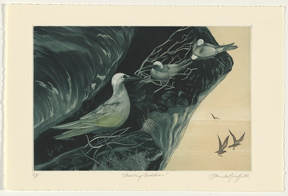 Artist: b'GRIFFITH, Pamela' | Title: b'Nesting Noddies' | Date: 1984 | Technique: b'hardground-etching and aquatint, printed in colour, from two zinc plates' | Copyright: b'\xc2\xa9 Pamela Griffith'