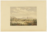 Artist: Angas, George French. | Title: Kangaroo hunting in the scrub. | Date: 1846-47 | Technique: lithograph, printed in colour, from multiple stones; varnish highlights by brush