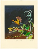 Artist: b'Hopkinson, Michael.' | Title: b'Kingfisher' | Date: 1983 | Technique: b'screenprint, printed in colour, from multiple stencils'