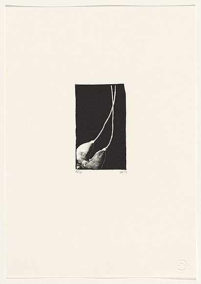 Artist: b'Firouz-Abadi, Jessica.' | Title: b'not titled.' | Date: 1992 | Technique: b'lithograph, printed in black ink, from one stone,'