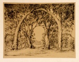 Artist: b'Warner, Alfred Edward.' | Title: b'Australian gothic' | Technique: b'lithograph, printed in black ink, from one plate'