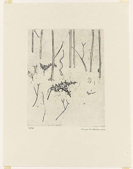 Artist: b'WILLIAMS, Fred' | Title: b'Acacias. Number 2' | Date: 1973-74 | Technique: b'etching, rough biting, engraving and electric hand engraving, printed in black ink, from one zinc plate' | Copyright: b'\xc2\xa9 Fred Williams Estate'