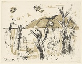Artist: MACQUEEN, Mary | Title: Cockatoos, Mt Noorat | Date: 1964 | Technique: lithograph, printed in colour, from multiple plates, in black and green ink | Copyright: Courtesy Paulette Calhoun, for the estate of Mary Macqueen