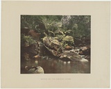 Artist: b'Phillip-Stephan Photo-Litho. and Typographic Process Co. Ltd.' | Title: b'Scene on the Erskine River' | Date: c.1887 | Technique: b'Lithograph, printed in colour, from one photographic and multiple hand-drawn stones'