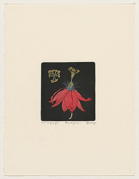 Artist: b'Dunlop, Brian.' | Title: b'Plant form I' | Date: 1989, January | Technique: b'etching and aquatint, printed in black ink, from one plate; handcoloured'