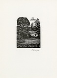 Artist: b'Frazer, David.' | Title: b'Yvonne Allen' | Date: c.2001 | Technique: b'wood-engraving, printed in black in, from one block'