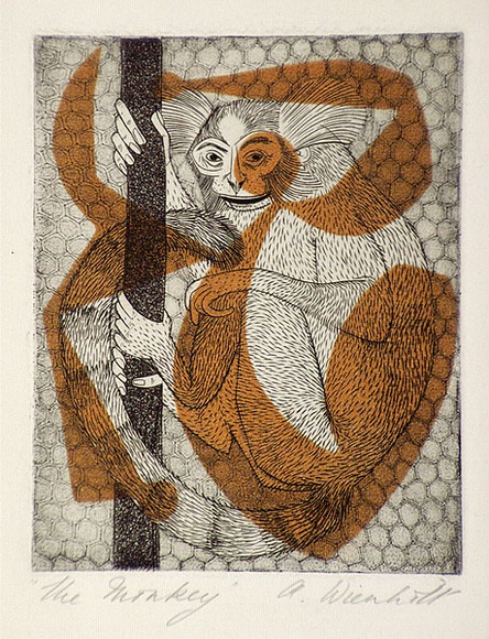 Artist: b'Wienholt, Anne.' | Title: b'The monkey' | Technique: b'engraving, printed in black ink, from one copper plate; orange ink applied through cut paper stencil'