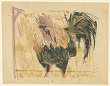 Artist: MACQUEEN, Mary | Title: Cock at Whyalla | Date: c.1966 | Technique: lithograph, printed in colour, from multiple plates | Copyright: Courtesy Paulette Calhoun, for the estate of Mary Macqueen