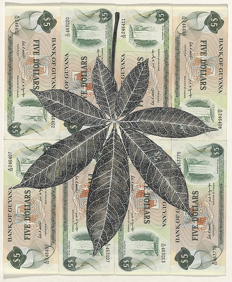 Artist: b'HALL, Fiona' | Title: b'Ceiba pentandra - Kapok (Guyanese currency)' | Date: 2000 - 2002 | Technique: b'gouache' | Copyright: b'\xc2\xa9 Fiona Hall'