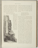 Artist: b'Ashton, Julian.' | Title: b'Giant Gippsland gum' | Date: 1886 | Technique: b'woodengraving, printed in black ink, from one block'