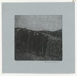 Artist: b'WILLIAMS, Fred' | Title: b'Forest at Almerton. Number 2' | Date: 1962 | Technique: b'aquatint, drypoint and engraving, printed in black ink, from one copper plate' | Copyright: b'\xc2\xa9 Fred Williams Estate'