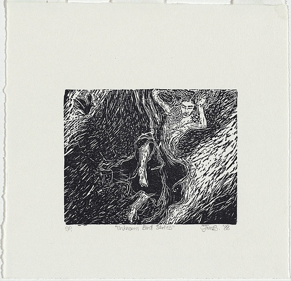 Artist: b'JAMES, C' | Title: b'Unknown bird series' | Date: 1988 | Technique: b'woodblock, printed in black ink, from one black ink'