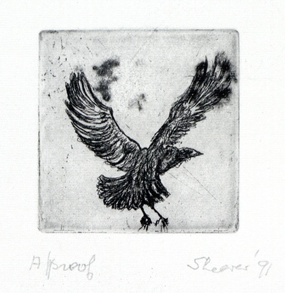 Artist: b'Shearer, Mitzi.' | Title: b'not titled' | Date: 1991 | Technique: b'etching, printed in black ink with plate-tone, from one plate'