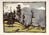 Artist: b'Pye, Mabel.' | Title: b'Dark hills and black trees' | Date: c.1933 | Technique: b'linocut, printed in colour inks, from multiple blocks'