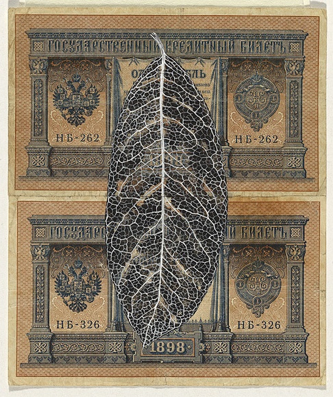 Artist: b'HALL, Fiona' | Title: b'Mespilus germanica - Medlar (Russian currency)' | Date: 2000 - 2002 | Technique: b'gouache' | Copyright: b'\xc2\xa9 Fiona Hall'